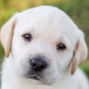 Meet your Posher, Bryanna